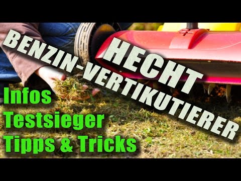 Vertikutierer Benzin Hecht | Infos, Tipps und Testsieger | Vertikutierer-Benzin.de