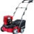 Einhell Benzin Vertikutierer Lüfter GE-SA 1335 P