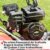 HECHT 2-IN-1 Benzin Vertikutierer mit Briggs & Stratton Motor – 4,2 kW/5,7PS 